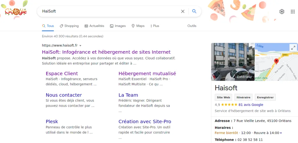 Example of the HaiSoft website in search results