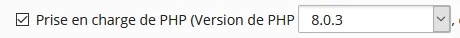 Selecting PHP version 8.0 in Plesk Obsidian